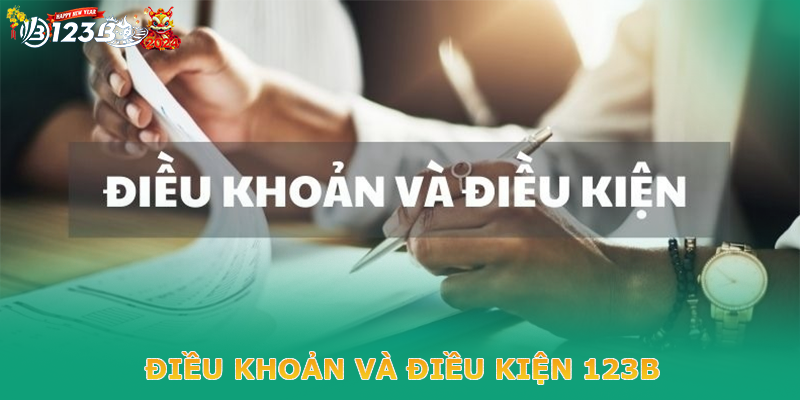 Điều khoản áp dụng khi tham gia khuyến mãi